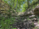 Oak Knoll Falls - dry
