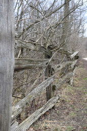 Felker's Falls Conservation Area